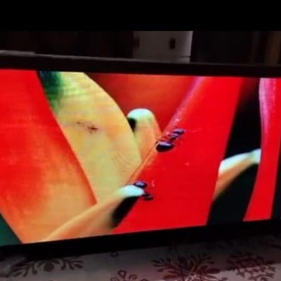 01d69966-58cc-4652-b385-02d770b6ba03